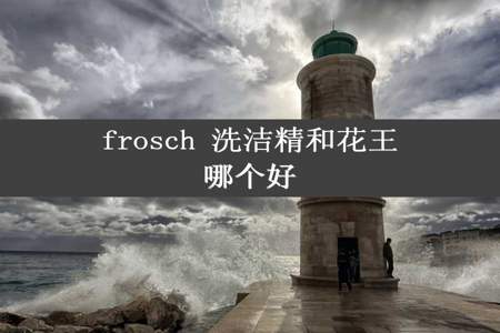 frosch 洗洁精和花王哪个好