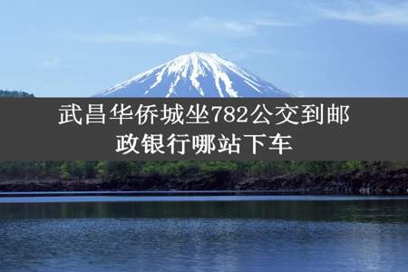 武昌华侨城坐782公交到邮政银行哪站下车