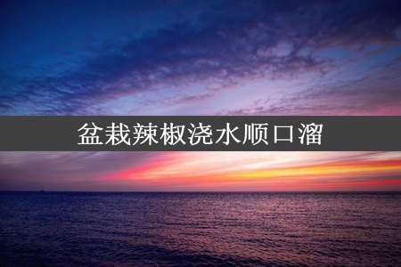 盆栽辣椒浇水顺口溜