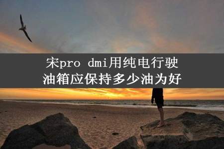 宋pro dmi用纯电行驶油箱应保持多少油为好