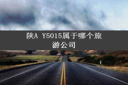 陕A Y5015属于哪个旅游公司