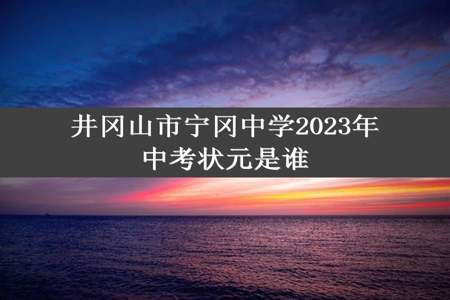 井冈山市宁冈中学2023年中考状元是谁