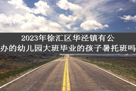 2023年徐汇区华泾镇有公办的幼儿园大班毕业的孩子暑托班吗