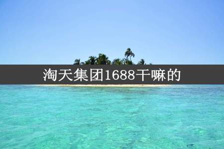 淘天集团1688干嘛的