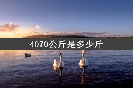 4070公斤是多少斤