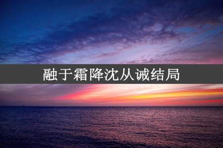 融于霜降沈从诫结局