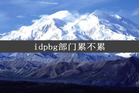 idpbg部门累不累