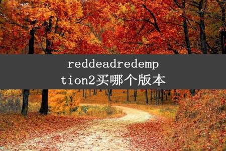 reddeadredemption2买哪个版本