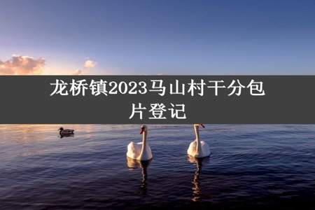 龙桥镇2023马山村干分包片登记