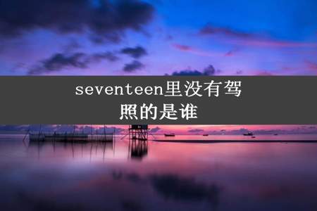 seventeen里没有驾照的是谁