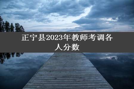 正宁县2023年教师考调各人分数