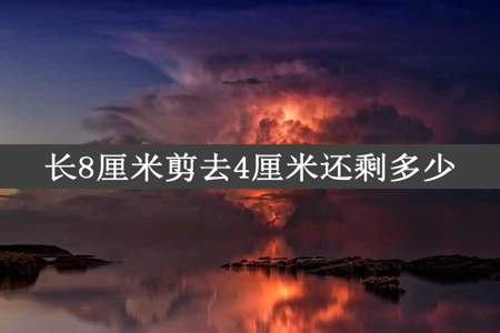 长8厘米剪去4厘米还剩多少