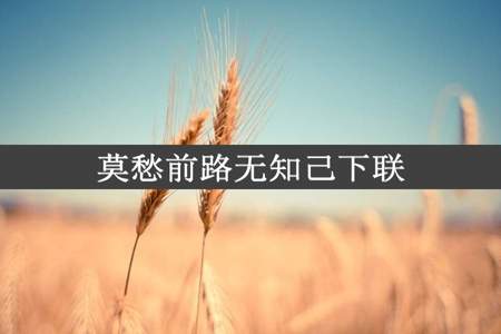 莫愁前路无知己下联