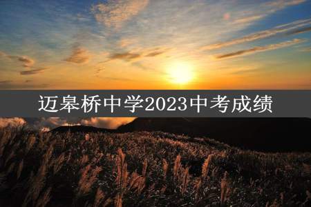 迈皋桥中学2023中考成绩