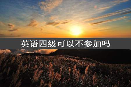 英语四级可以不参加吗