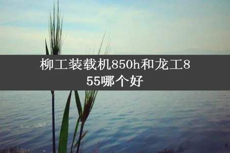 柳工装载机850h和龙工855哪个好