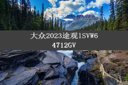 大众2023途观lSVW64712GV