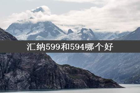 汇纳599和594哪个好