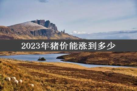 2023年猪价能涨到多少