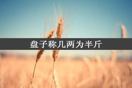 盘子称几两为半斤