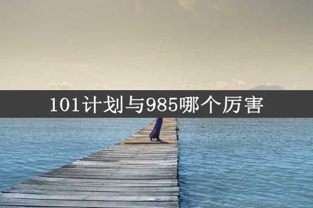 101计划与985哪个厉害