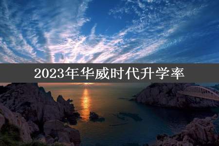 2023年华威时代升学率