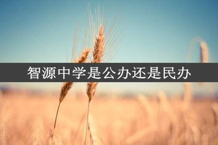 智源中学是公办还是民办