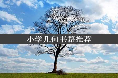 小学几何书籍推荐