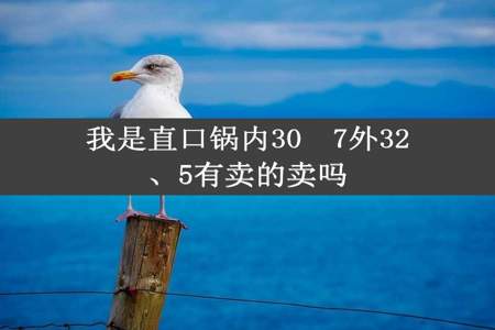 我是直口锅内30㇏7外32、5有卖的卖吗