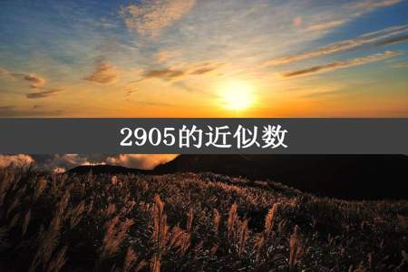 2905的近似数