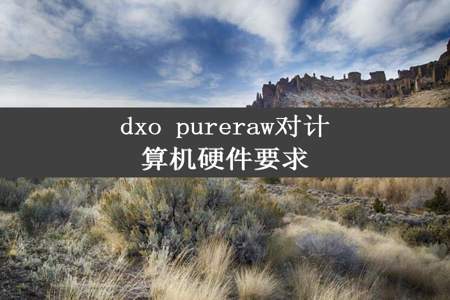 dxo pureraw对计算机硬件要求