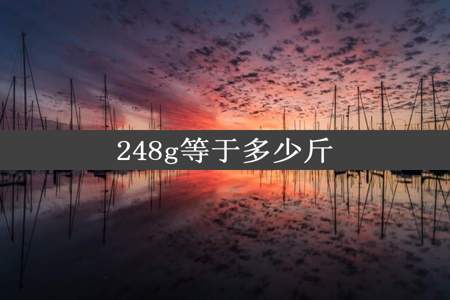 248g等于多少斤