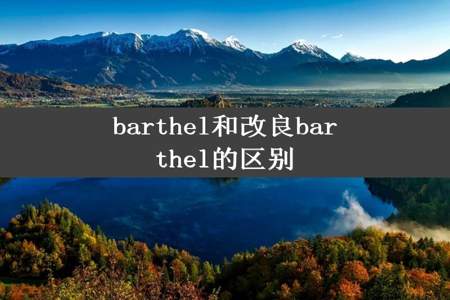 barthel和改良barthel的区别