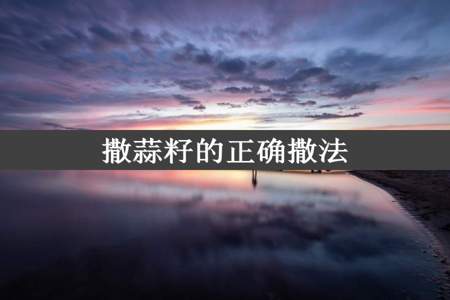 撒蒜籽的正确撒法