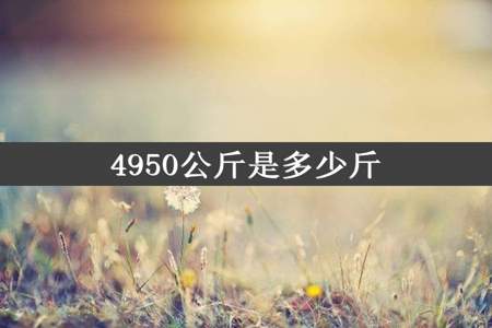 4950公斤是多少斤