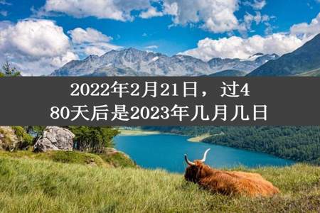 2022年2月21日，过480天后是2023年几月几日