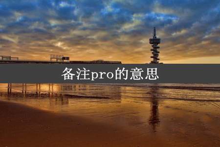 备注pro的意思