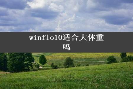 winflo10适合大体重吗