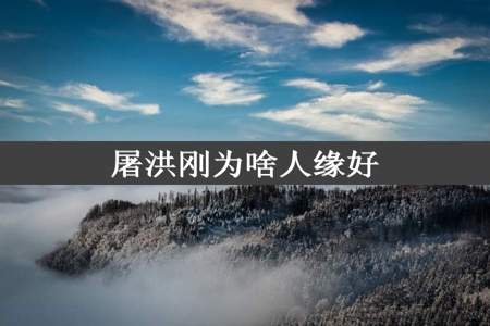 屠洪刚为啥人缘好