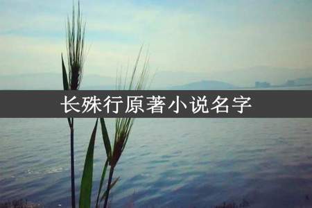 长殊行原著小说名字