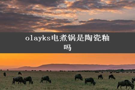 olayks电煮锅是陶瓷釉吗