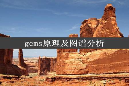 gcms原理及图谱分析