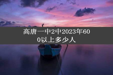 高唐一中2中2023年600以上多少人