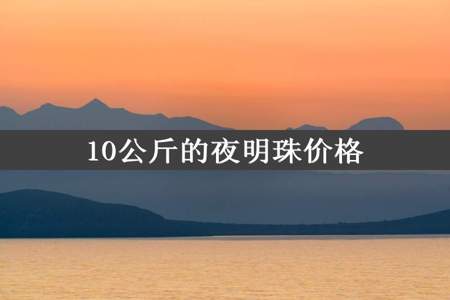 10公斤的夜明珠价格