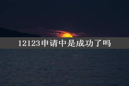 12123申请中是成功了吗