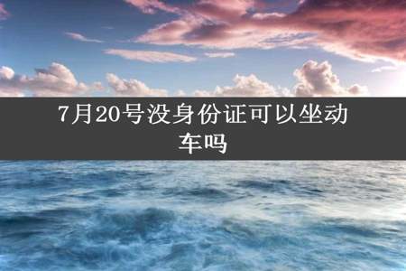 7月20号没身份证可以坐动车吗