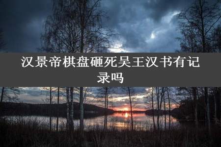 汉景帝棋盘砸死吴王汉书有记录吗