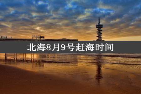 北海8月9号赶海时间