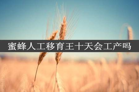 蜜蜂人工移育王十天会工产吗