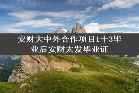 安财大中外合作项目1十3毕业后安财太发毕业证